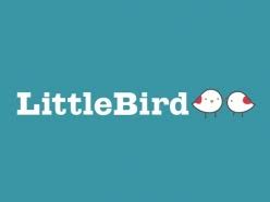 Little Bird